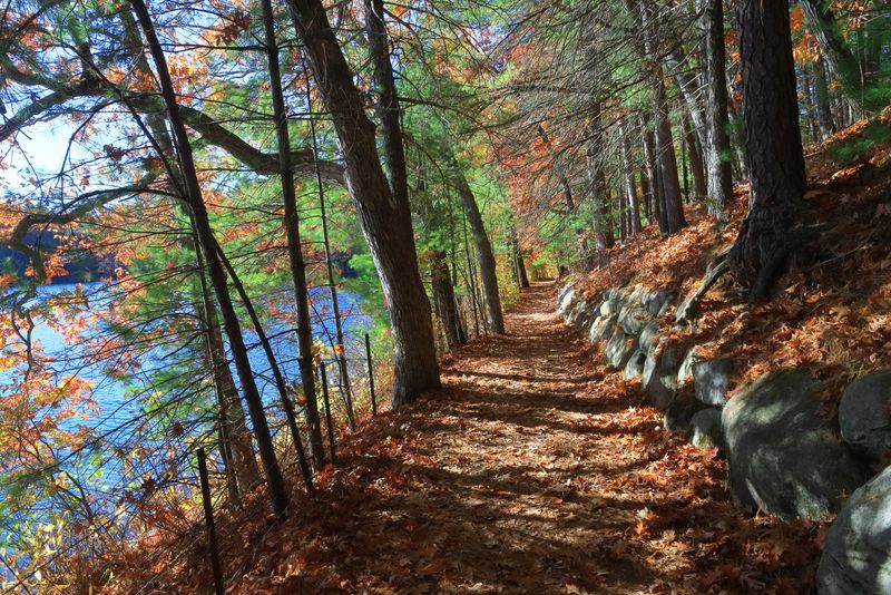 Affordable Spring Adventures In Massachusetts That Are Totally Worth The Drive - Decor Hint Walden Pond State Reservation