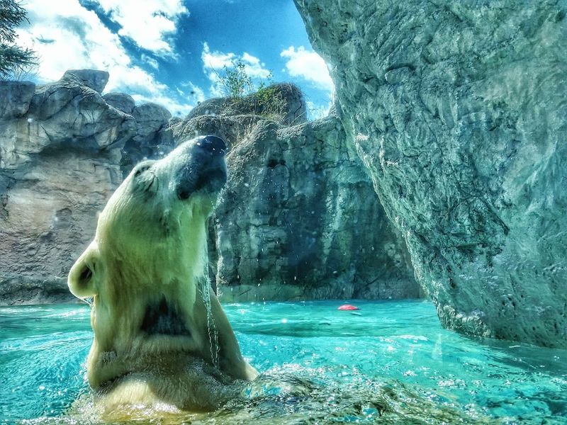 North American Habitats Full Of Surprises