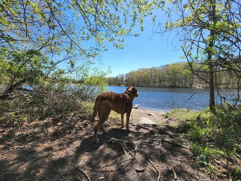 Lake Mohegan Open Space, Fairfield