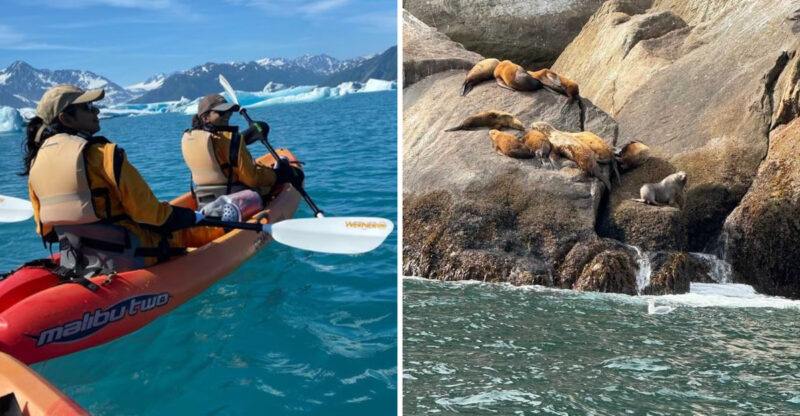 Alaska Has A Coastal Kayak Tour Where Sea Otters And Calving Glaciers Are Just Part Of The Scenery
