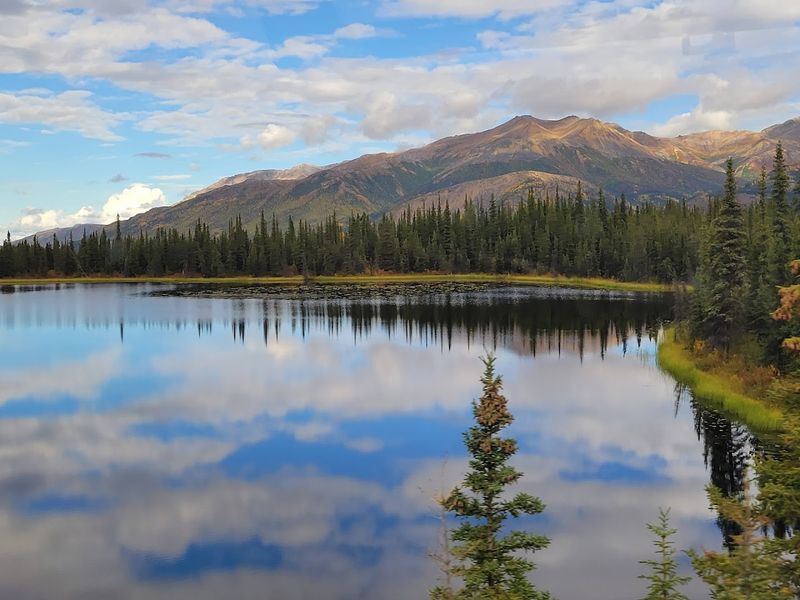 Denali National Park And Preserve