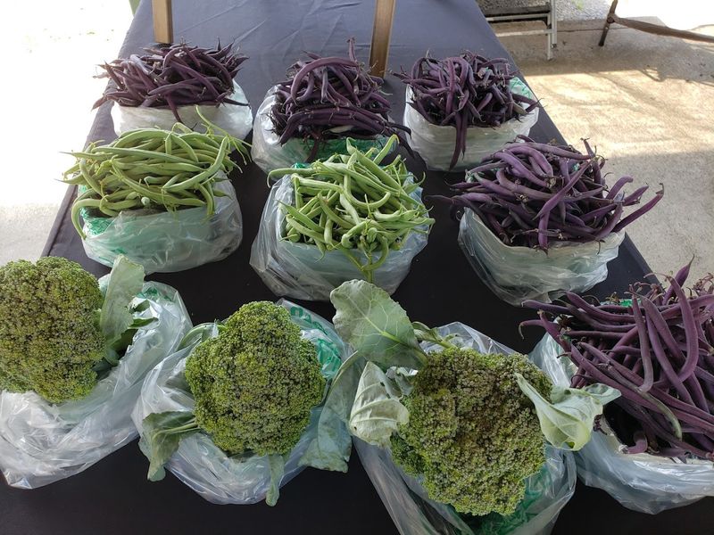 Local Food And Farmers Markets