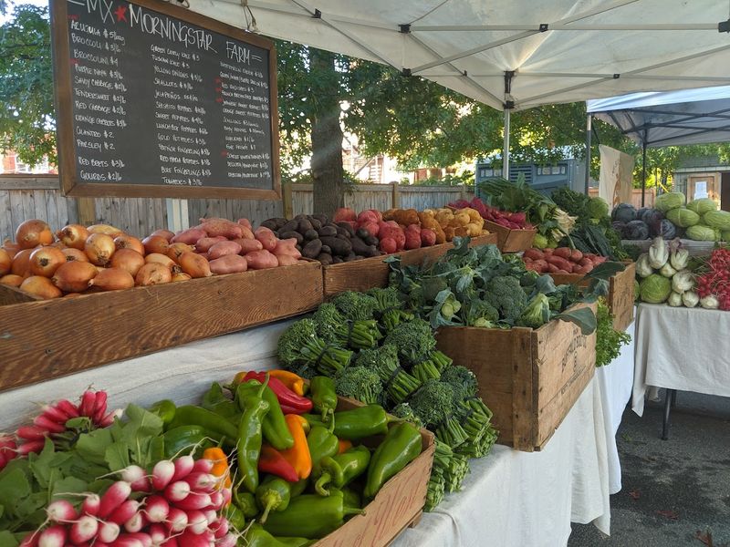 Great Barrington Farmers Market