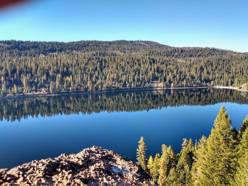 Wildlife Encounters Along The Water Near McCall