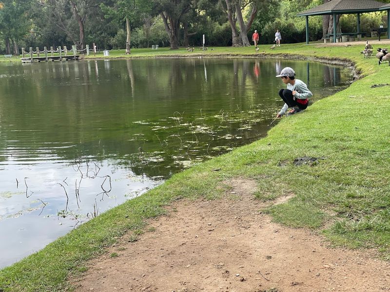 The Fishing Lake Is A Calm Spot Worth The Detour