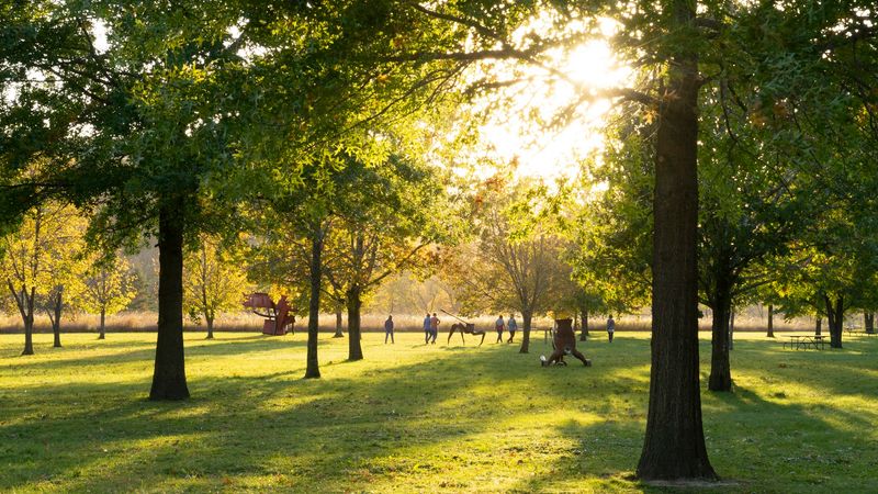 You Never Know What You Will Discover At This Unusual Minnesota Sculpture Park - Decor Hint Scenic Views Of The Cannon River Valley