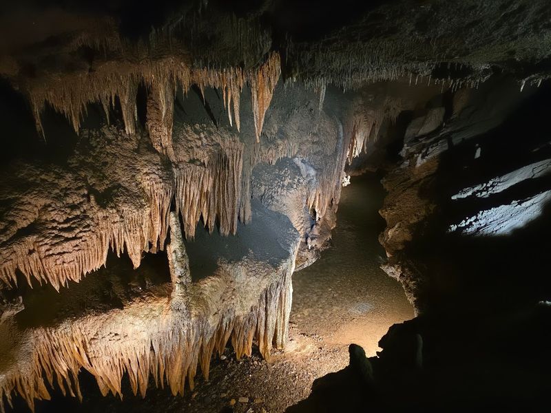 13 Tennessee Destinations Guaranteed To Impress Out-Of-Town Guests - Decor Hint Tuckaleechee Caverns, Townsend