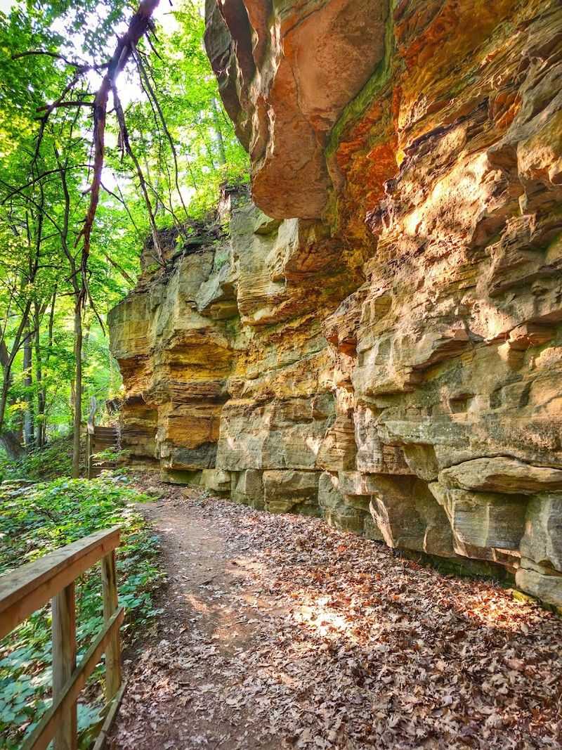 The Sandstone Bluffs Trail And Ancient Sea Deposits