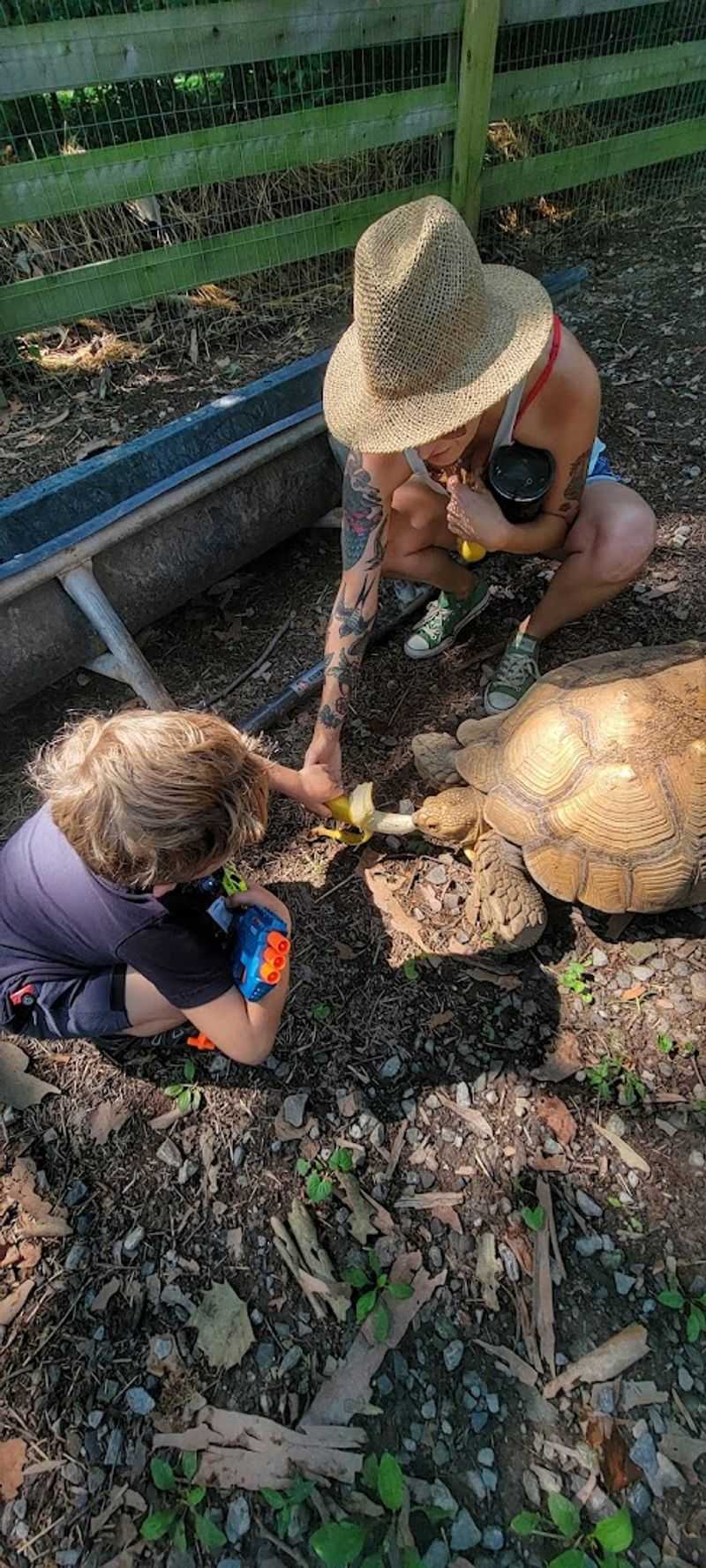Volunteering Here