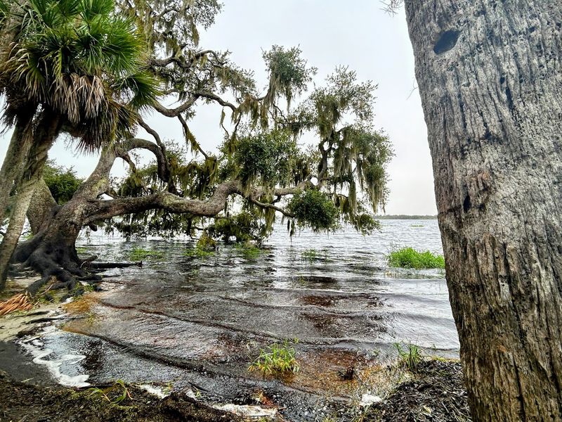 Myakka River State Park