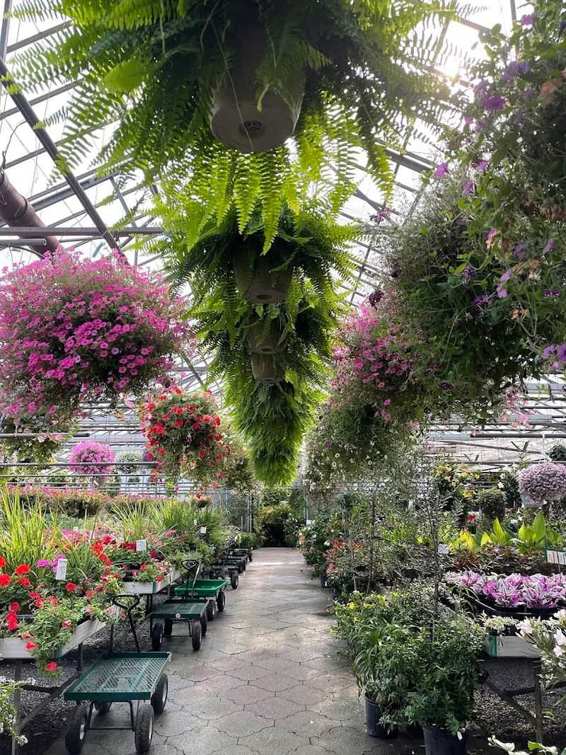 Hanging Baskets That Make Your Porch Look Like A Magazine Cover
