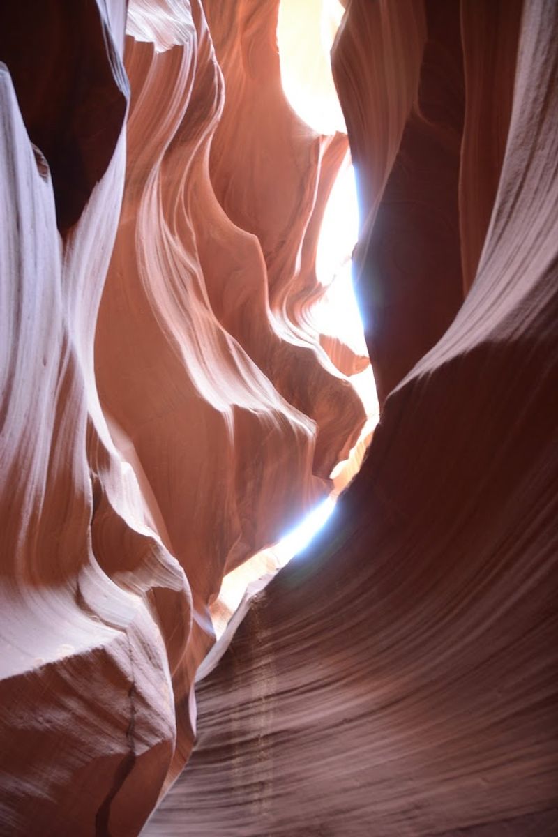 The Navajo Cultural Significance Of The Canyon