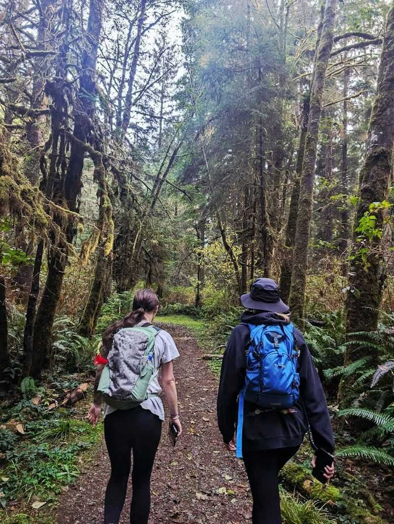 Fern Canyon via James Irvine Trail, Prairie Creek Redwoods State Park