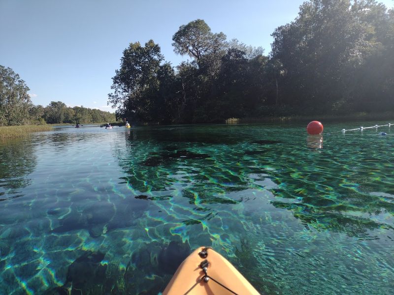 10 Beautiful Florida Spots That Rarely Make The Travel Guides - Decor Hint Rainbow Springs State Park