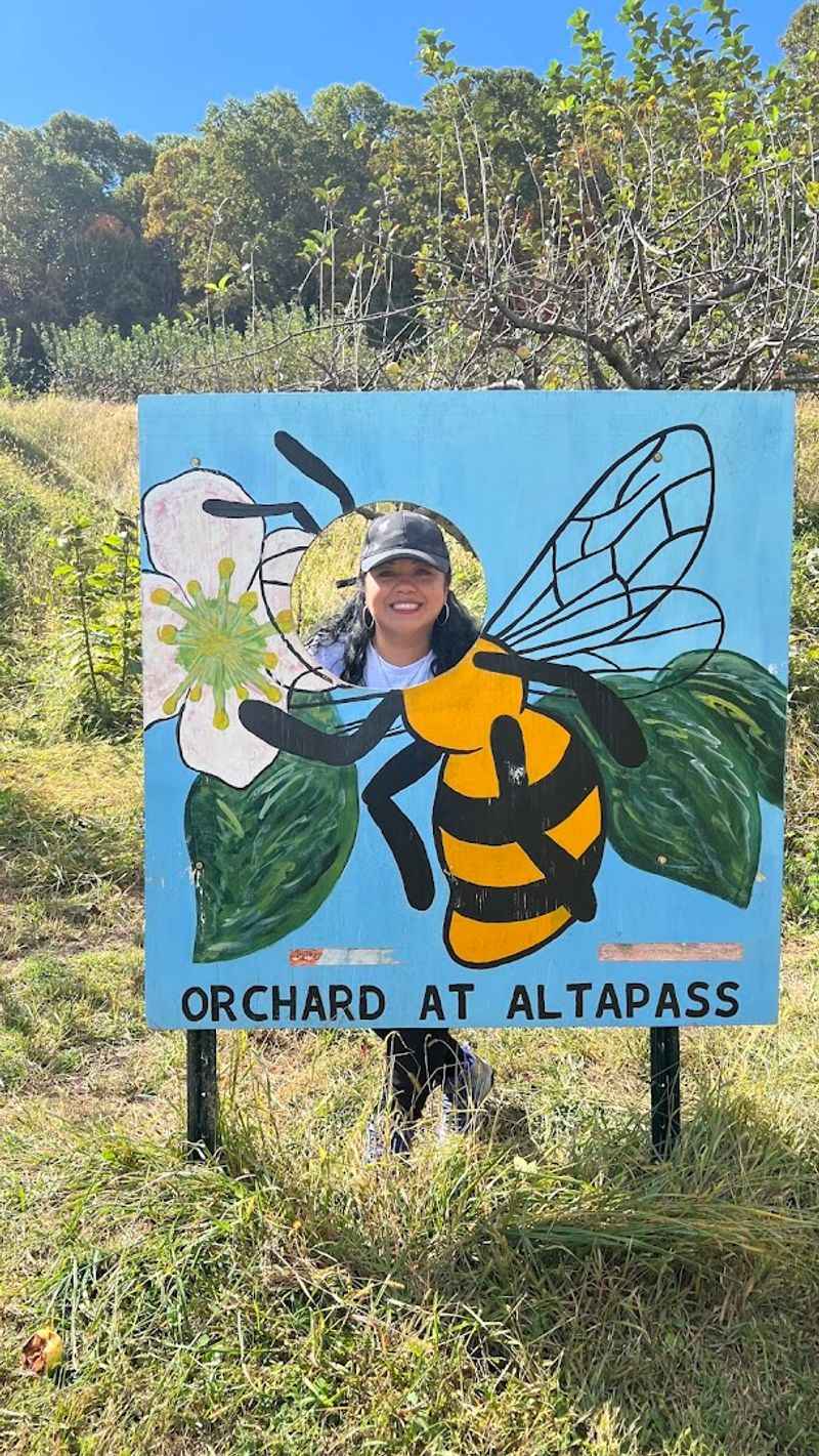 Pollinator Garden And Wildlife Habitat