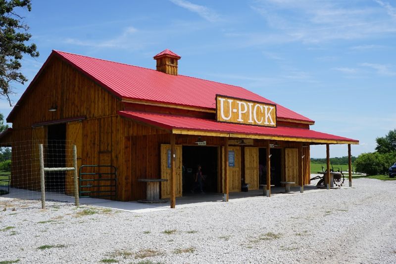 Kimmel Orchard & Vineyard Apple Barn, Nebraska