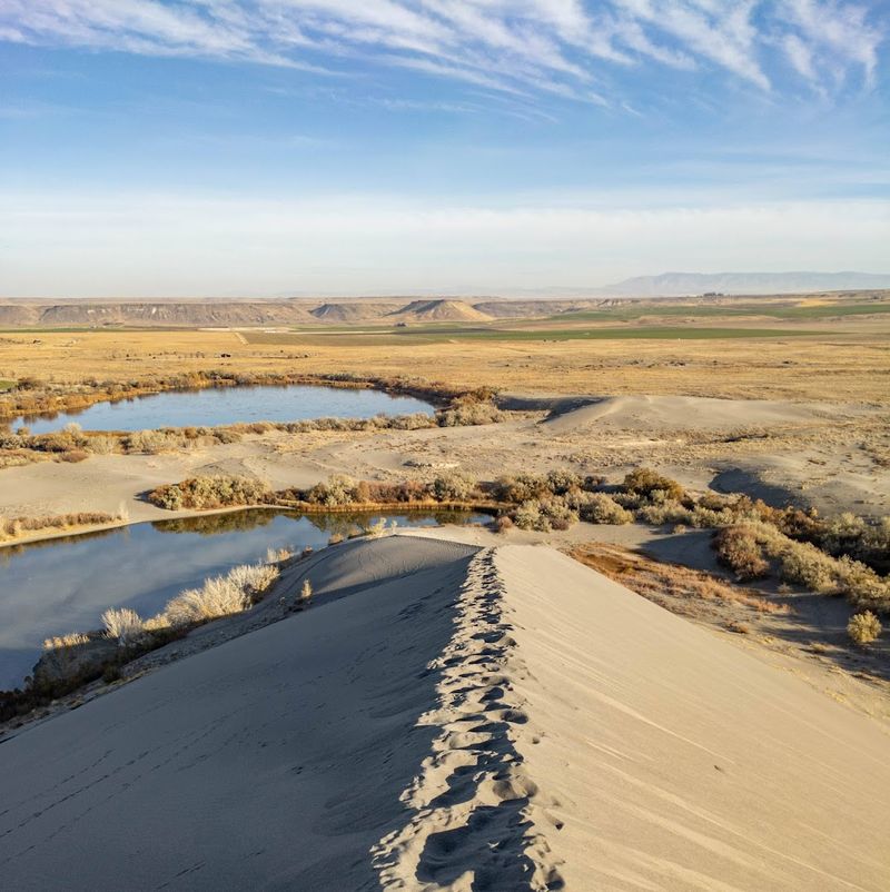 May - Bruneau Dunes State Park