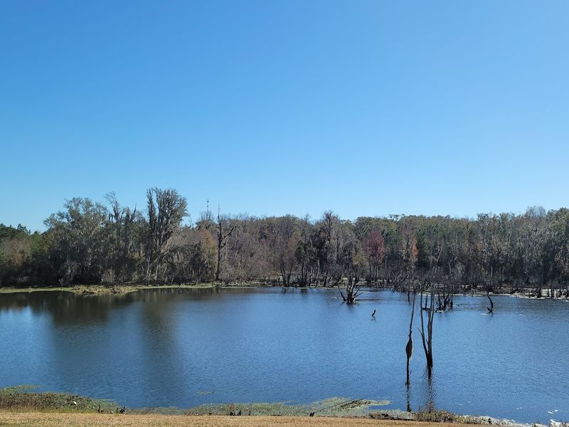 These Affordable Florida Cities Where Lower Costs Still Go Further - Decor Hint Live Oak