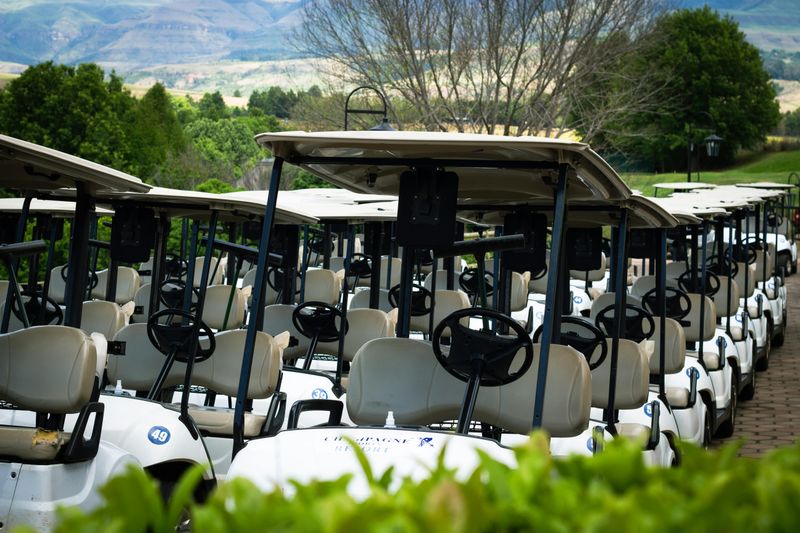 Renting A Golf Cart For The Whole Family