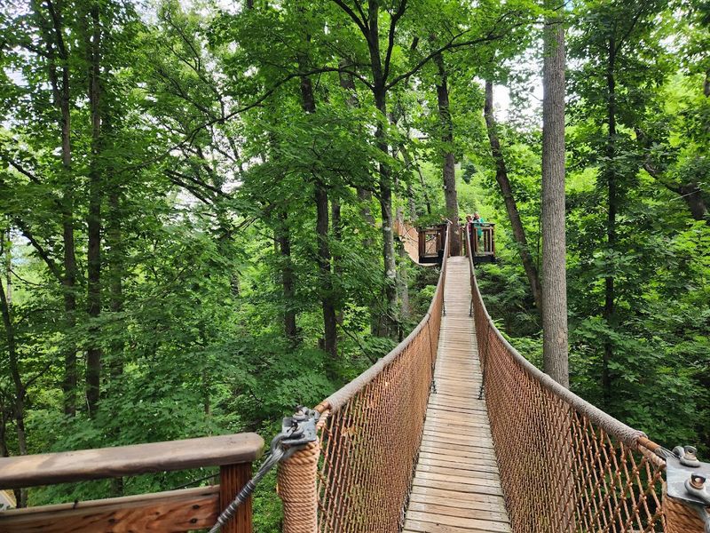 Tips For Planning Your Visit