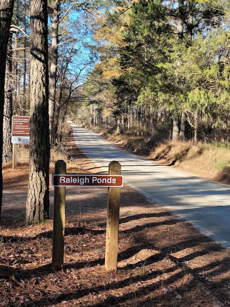 Birding and Wildlife Along the Rural Edges