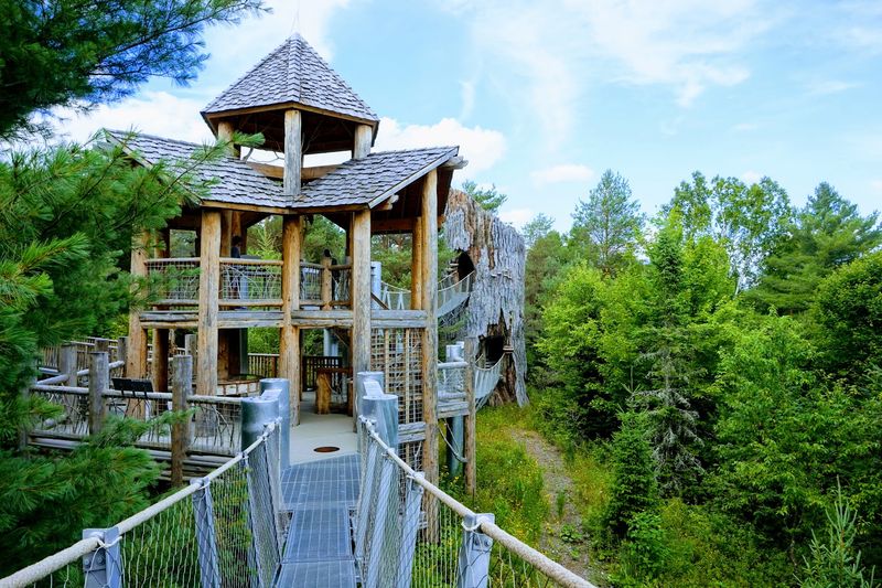 12 Beautiful Places In New York State For Summer Travel Inspiration - Decor Hint The Wild Center