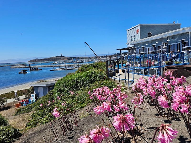 Highway 1 To Half Moon Bay Seafood Spots