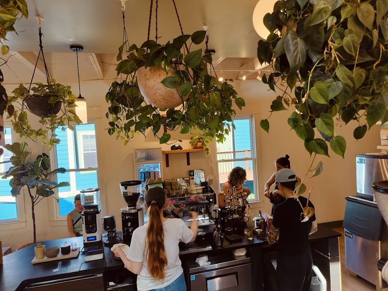 Bellwood Coffee EAV