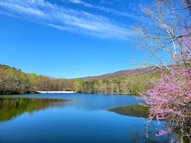 10 Beautiful West Virginia State Parks Perfect For A Relaxing Weekend Escape - Decor Hint Cacapon Resort State Park