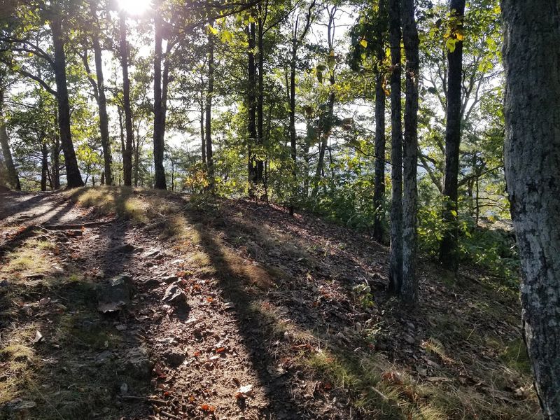 Pilot Knob State Nature Preserve