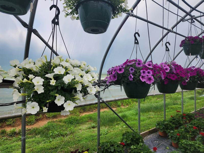 16 Garden Shops In Kentucky That Are Worth A Spring Road Trip - Decor Hint Shawnee Run Farm & Greenhouse