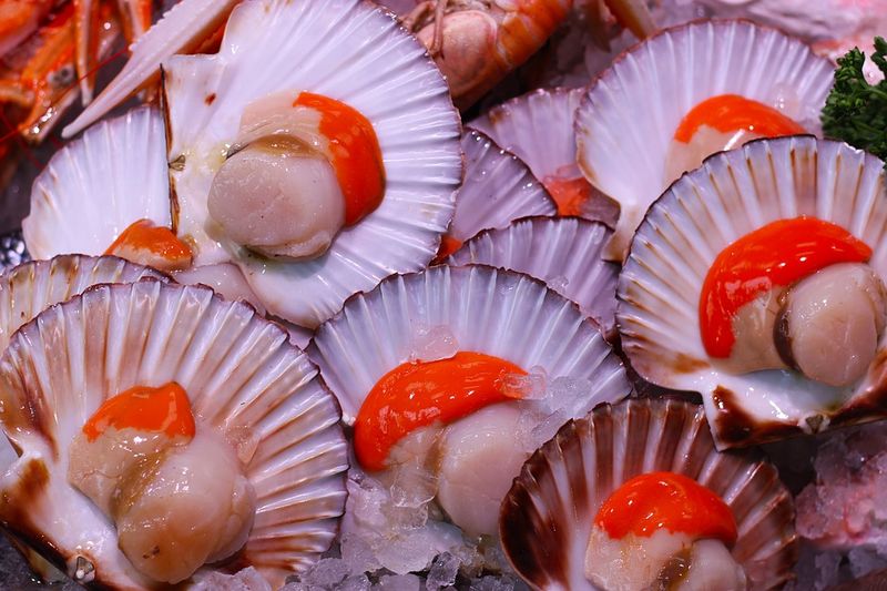 The Best Oyster Bars In Massachusetts For A Seriously Memorable Meal - Decor Hint Little Whale Oyster Bar