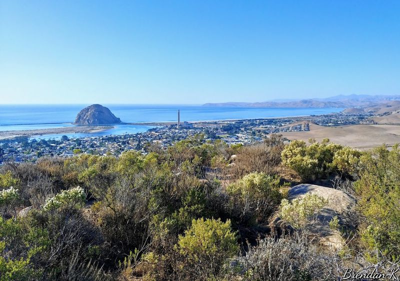 Morro Bay State Park Overlook / Black Hill Area, Morro Bay