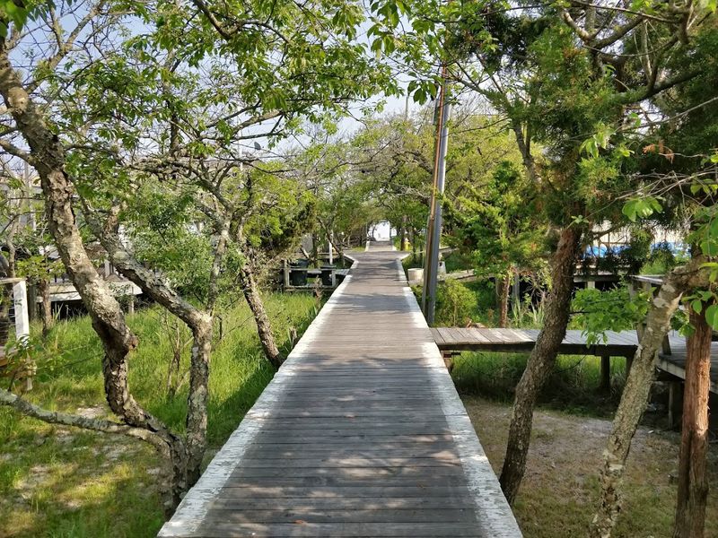 Fire Island