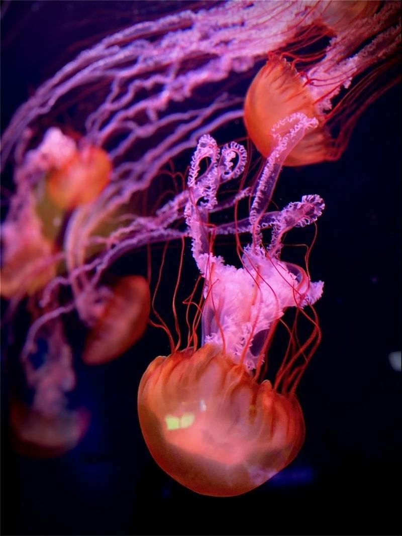 Why Visitors Are Drawn To Its Incredible Exhibits