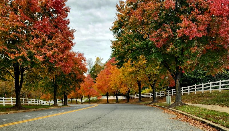 These Maryland Towns Are Becoming Secret Favorites For Retirement Living - Decor Hint Leonardtown
