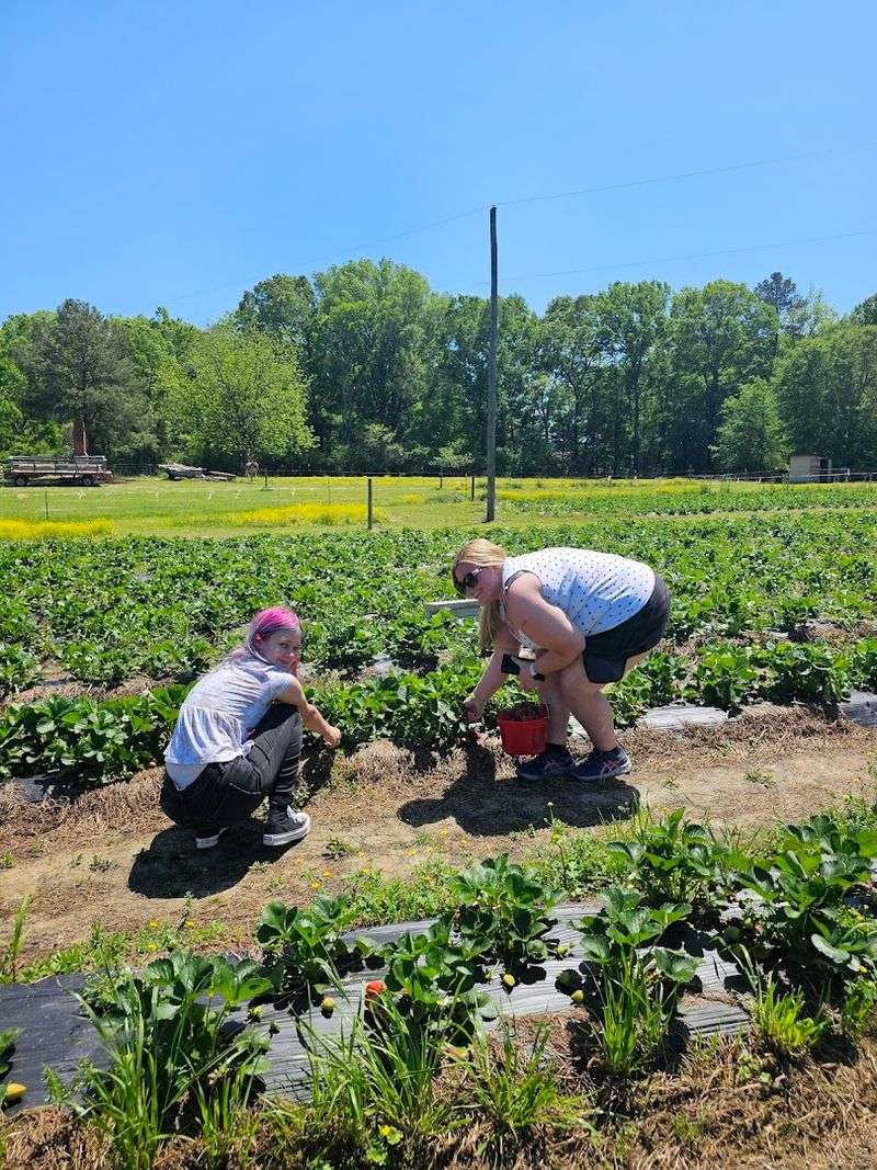Double Branches Farm