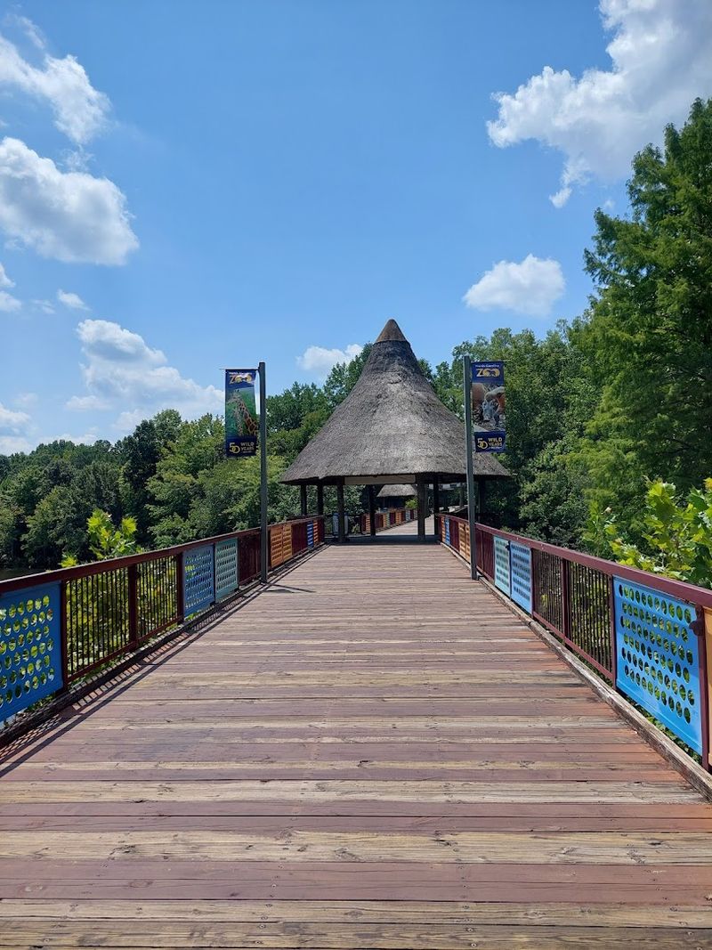 The Upcoming Asia Continent Exhibit
