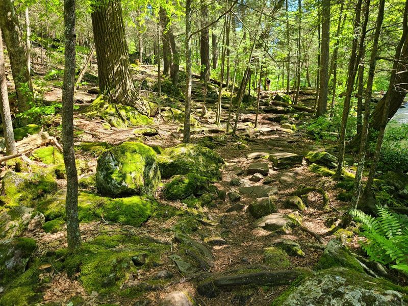 Trails That Feel Quiet And Untouched