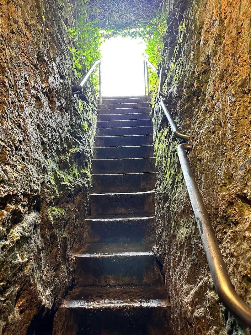 Florida Has A Natural Pool So Ancient And Otherworldly That Swimming In It Feels Like Diving Into Another Era - Decor Hint Practical Visitor Tips