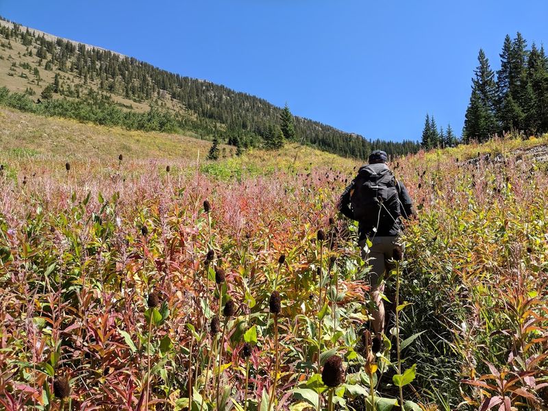 What To Expect After The Hike