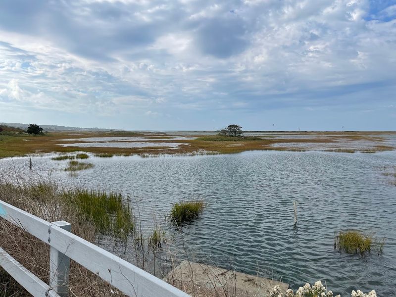 Outdoor Activities Beyond The Beach