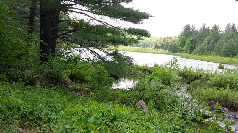 Wildlife And Nature You Might Spot