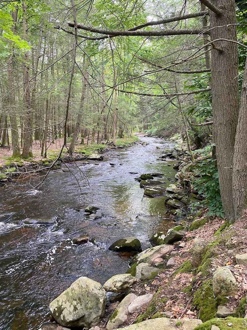 Discover The Park's Waterfalls And Brookside Paths