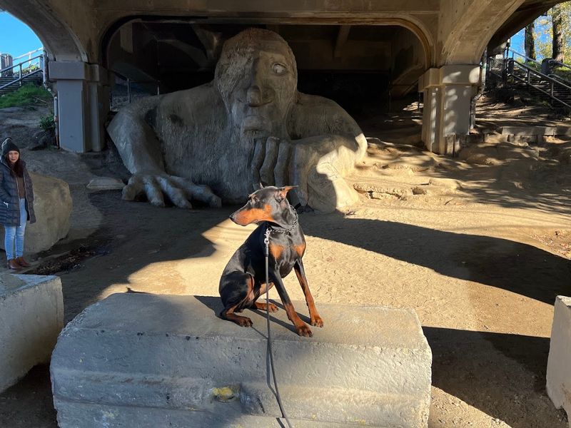 Photography Tips At The Troll