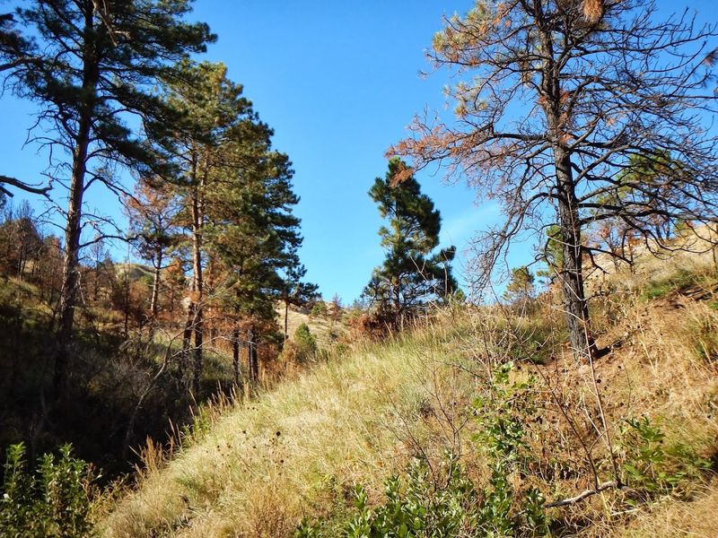 Wildlife And Nature Along the Path