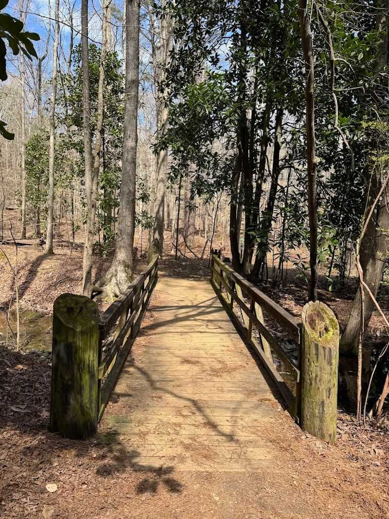 14 Remote Georgia Pedaling Destinations That Feel Impossibly Peaceful - Decor Hint Sope Creek Mountain Bike Trail