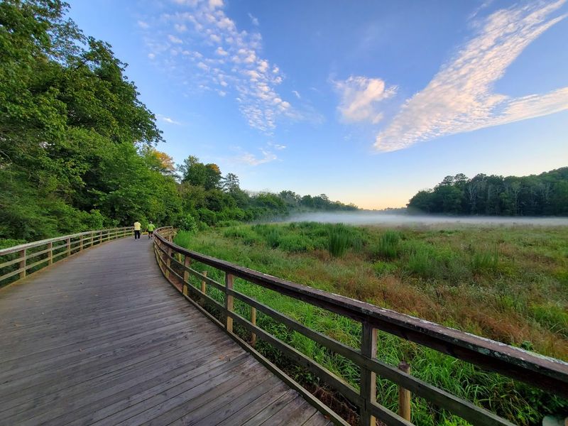 Big Creek Greenway Access at Fowler Park