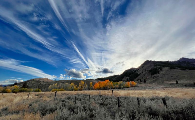This Idaho Trailhead Leads To A Mountain Escape With Big Views And Almost No Fuss - Decor Hint A Dog-Friendly Outdoor Spot