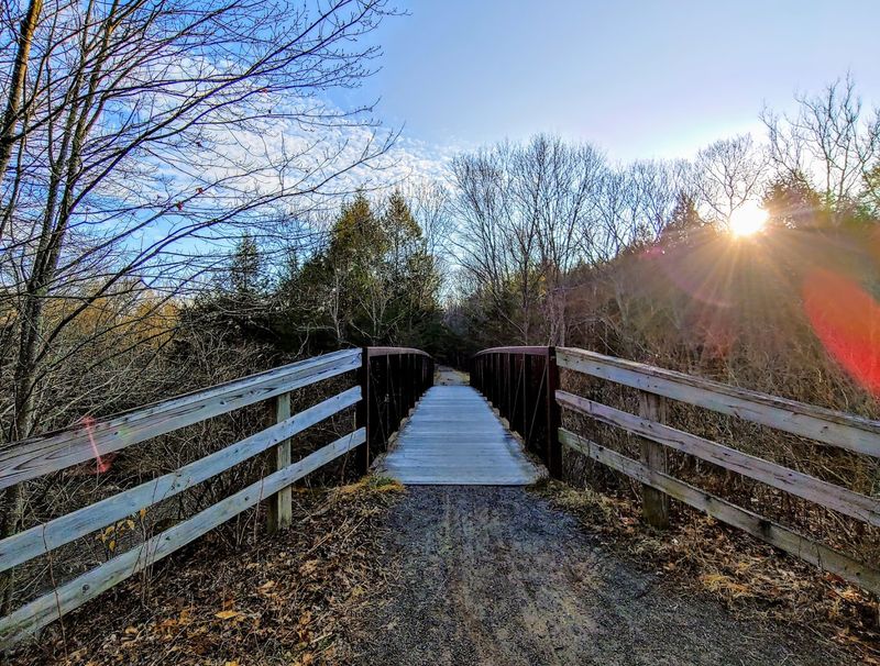 Salmon River State Forest, Colchester
